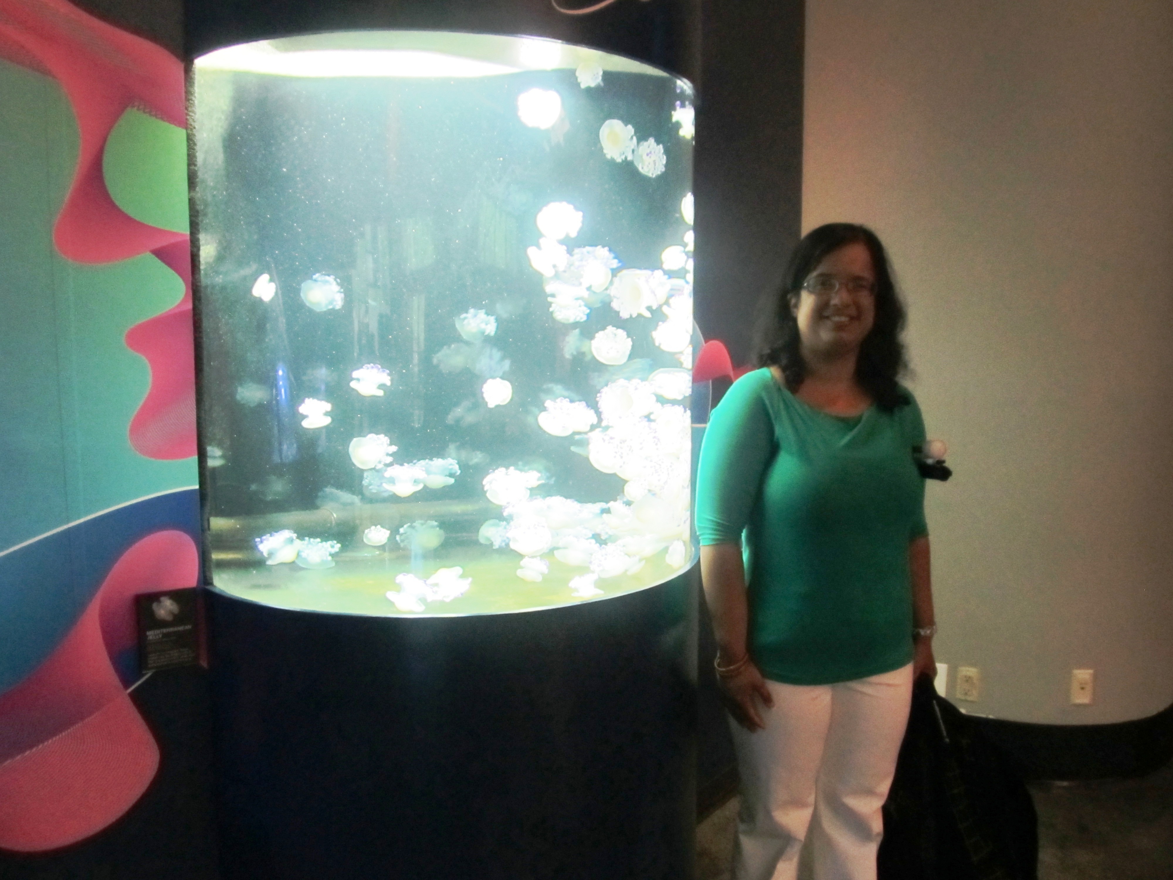 Kristy beside a tank of jellyfish