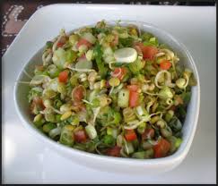 Photo of a sprouted lentil salad